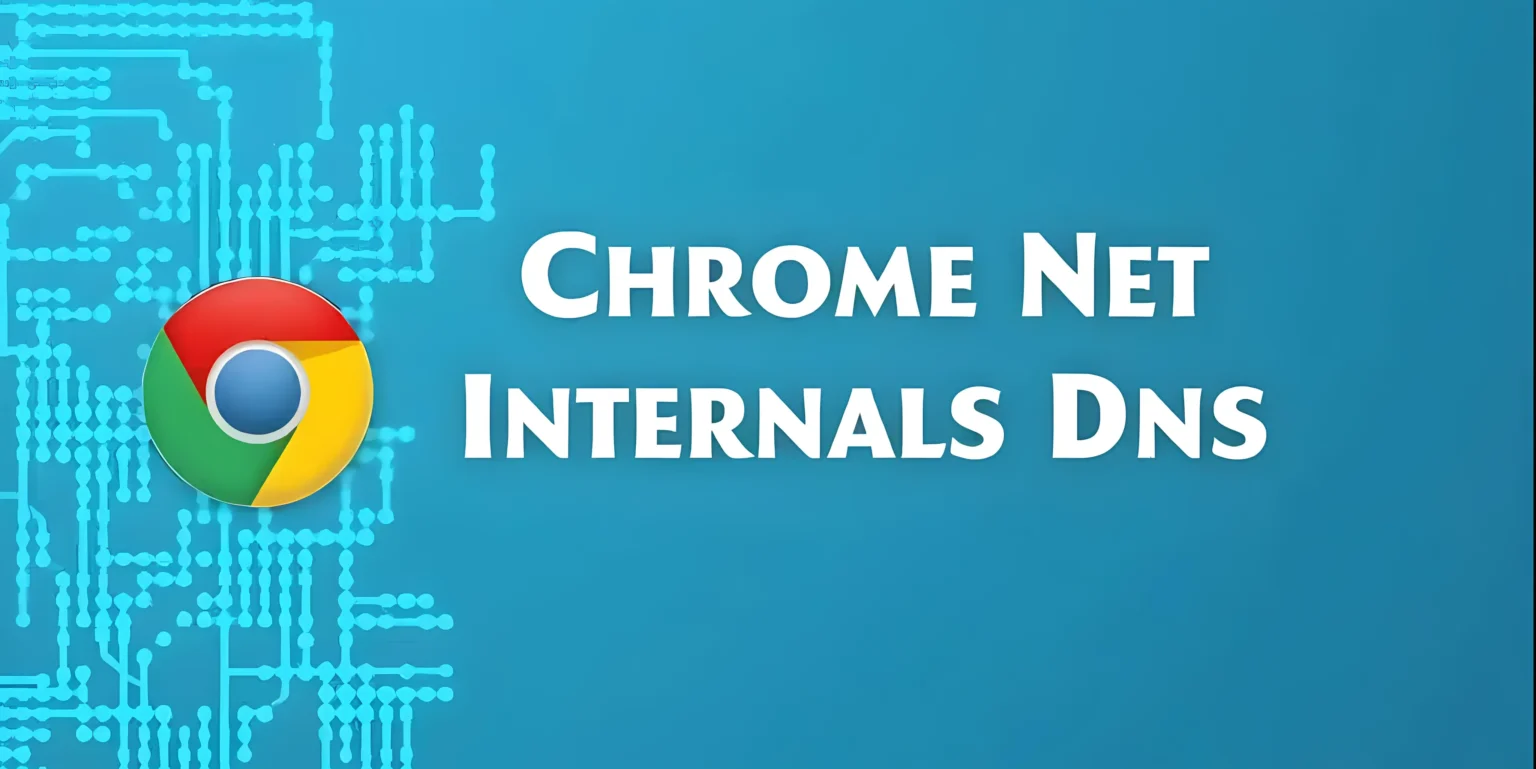 chrome net-internals#dns